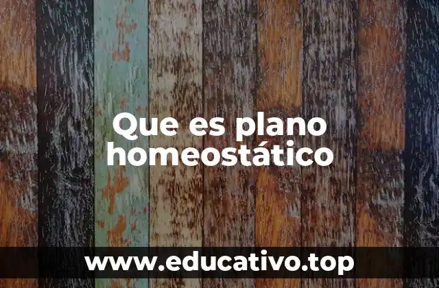Que es plano homeostático