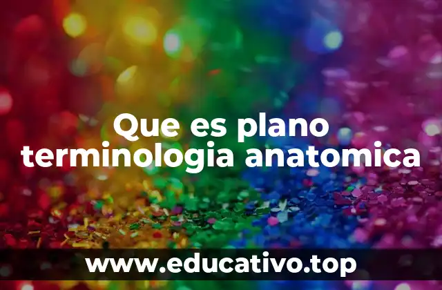 Que es plano terminologia anatomica