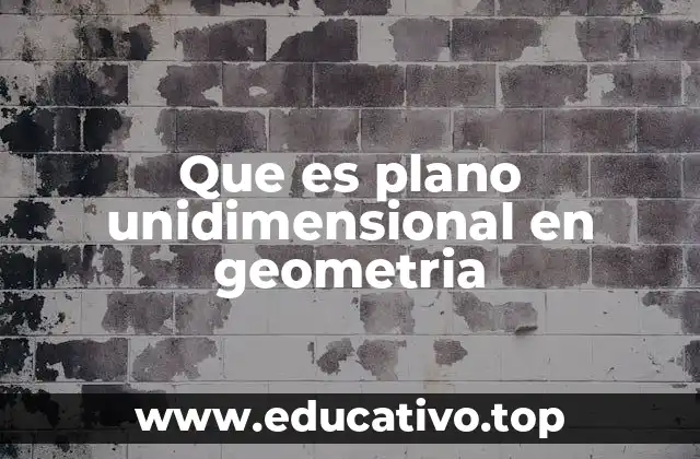 Que es plano unidimensional en geometria