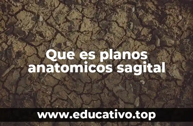 Que es planos anatomicos sagital