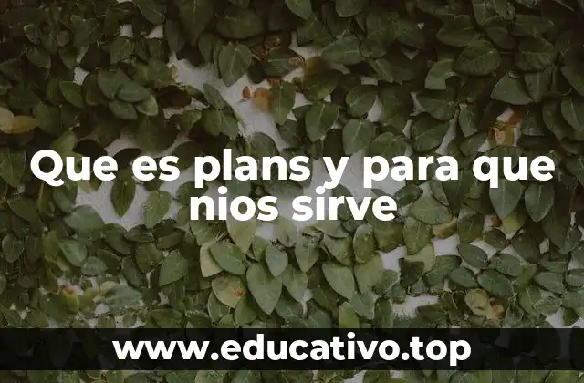 Que es plans y para que nios sirve