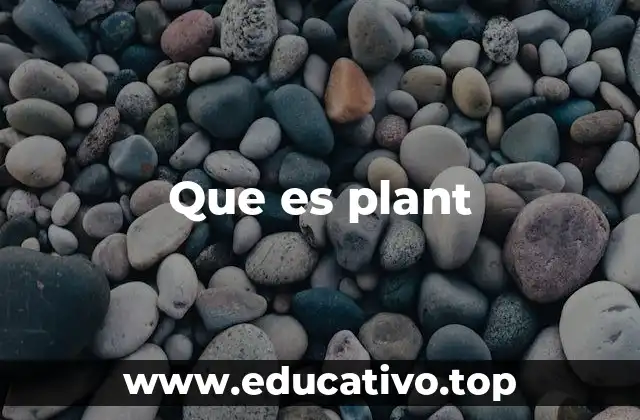 Que es plant