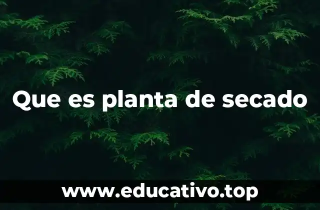 Que es planta de secado