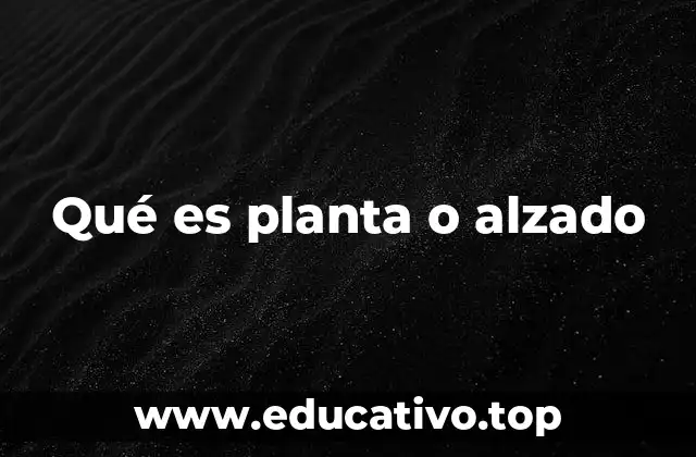 Qué es planta o alzado