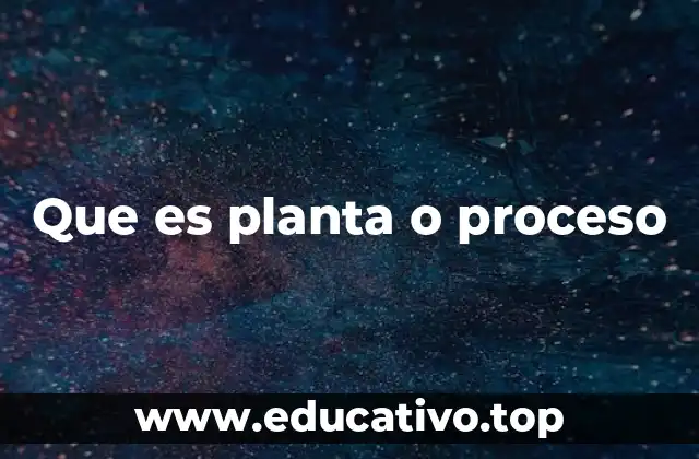 Que es planta o proceso