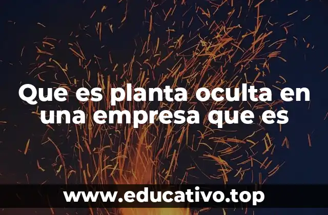 Que es planta oculta en una empresa que es