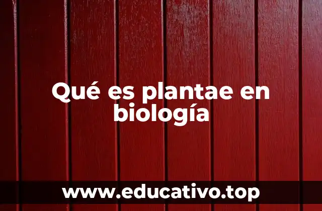 Qué es plantae en biología
