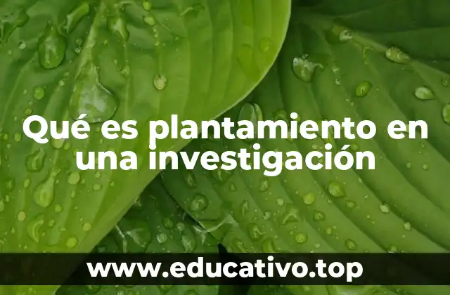 Qué es plantamiento en una investigación
