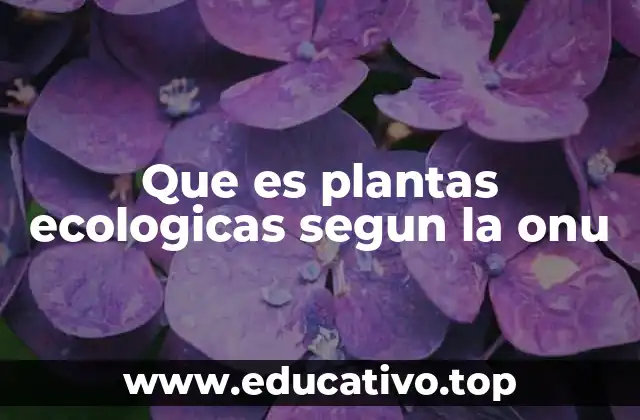 Que es plantas ecologicas segun la onu