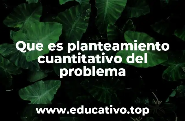 Que es planteamiento cuantitativo del problema
