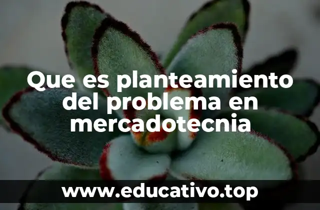 Cómo el planteamiento del problema guía la investigación de mercado