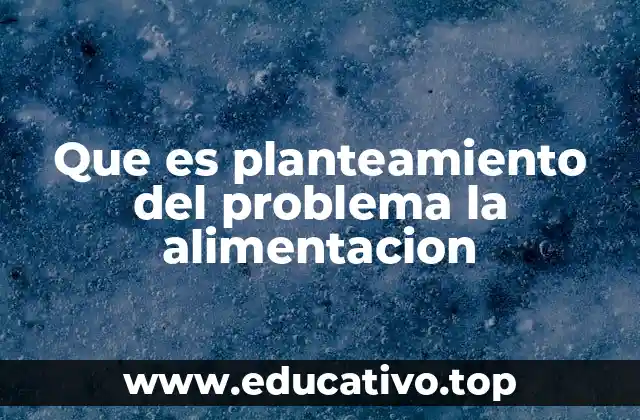 Que es planteamiento del problema la alimentacion