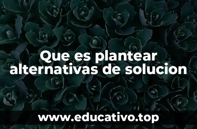 Que es plantear alternativas de solucion