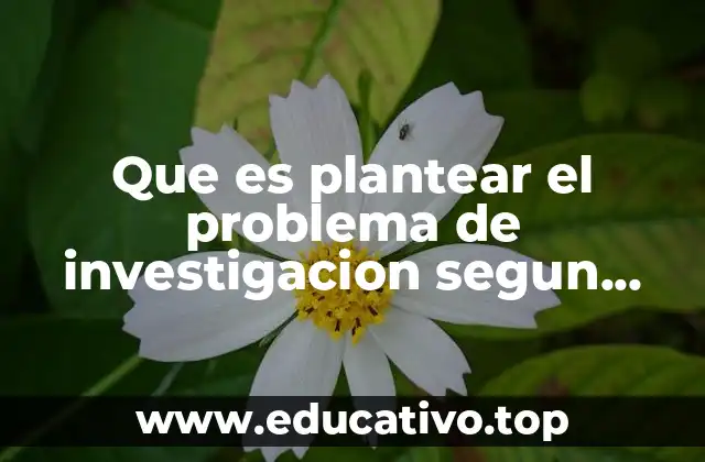 Que es plantear el problema de investigacion segun sampieri