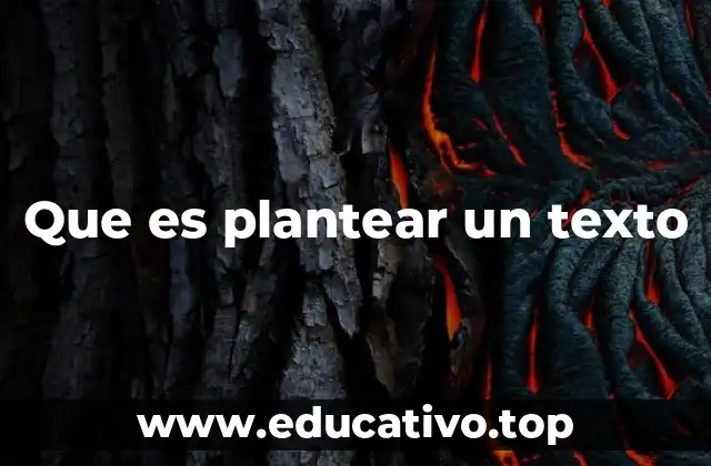 Que es plantear un texto