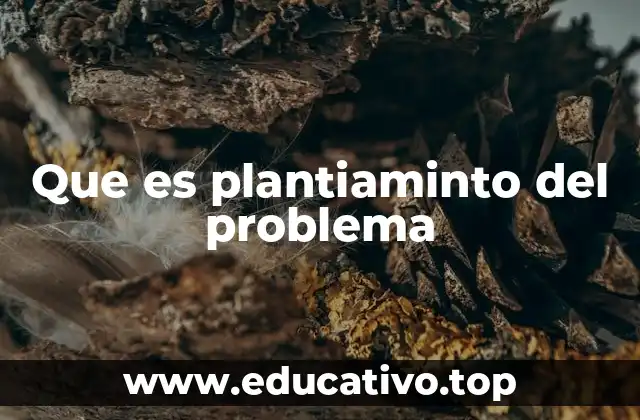 Que es plantiaminto del problema