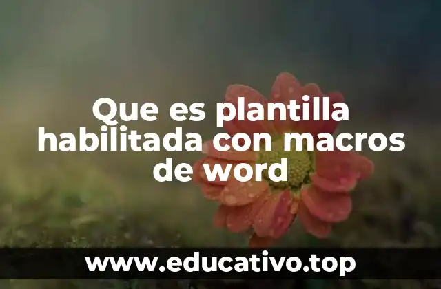 Que es plantilla habilitada con macros de word