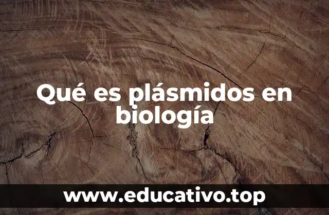 Qué es plásmidos en biología