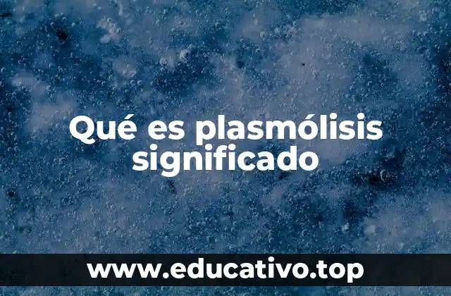 Qué es plasmólisis significado