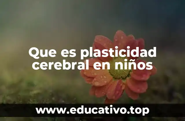 Que es plasticidad cerebral en niños
