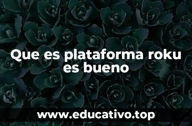 Que es plataforma roku es bueno