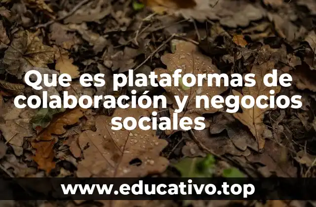 Que es plataformas de colaboración y negocios sociales