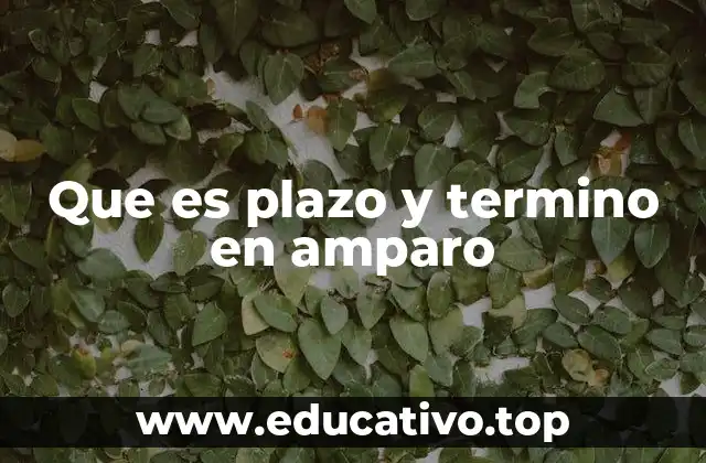 Que es plazo y termino en amparo