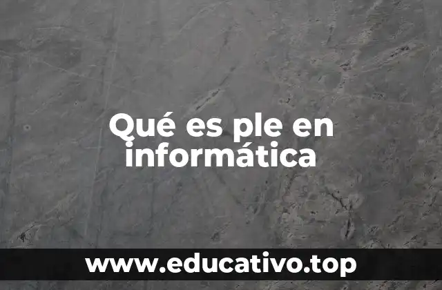 Qué es ple en informática