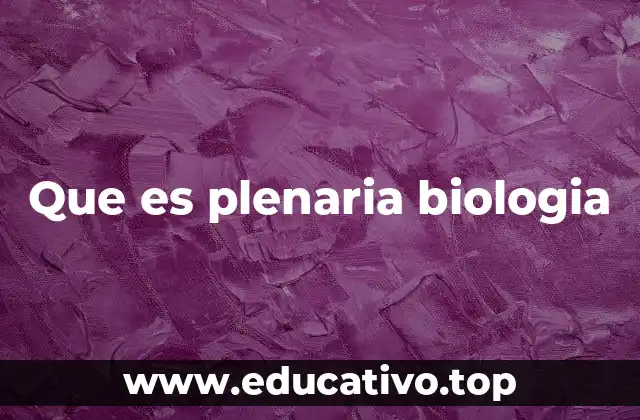 El papel de las plenarias en la comunidad científica