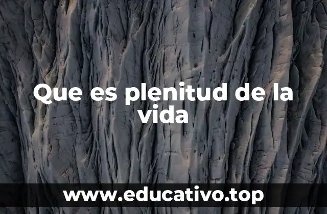 Que es plenitud de la vida