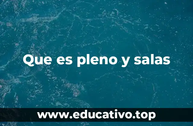 Que es pleno y salas