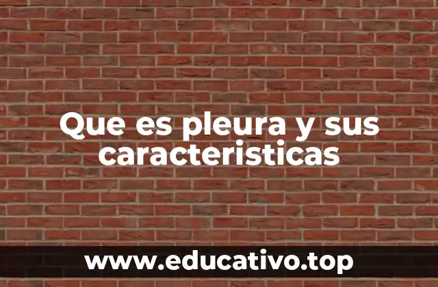Que es pleura y sus caracteristicas