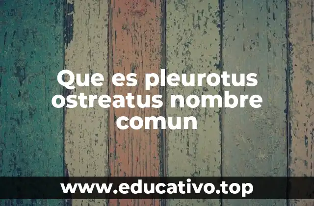 Características del hongo Pleurotus ostreatus