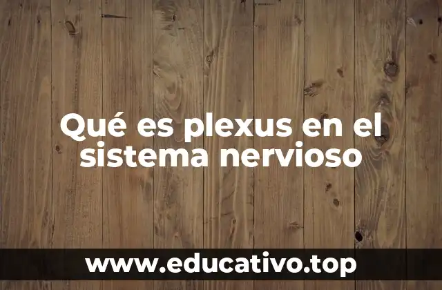 Qué es plexus en el sistema nervioso