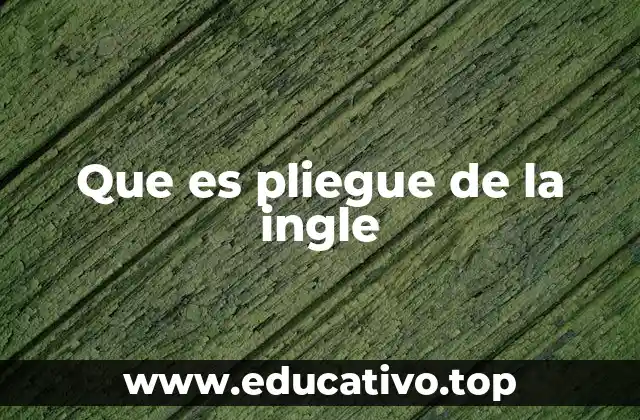 Que es pliegue de la ingle