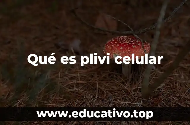 Qué es plivi celular