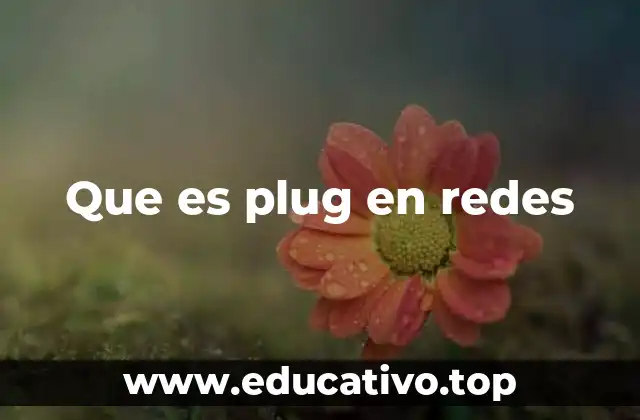 Que es plug en redes