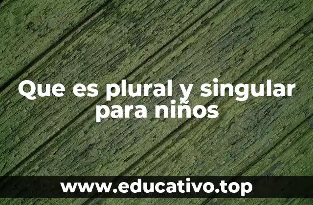 Que es plural y singular para niños