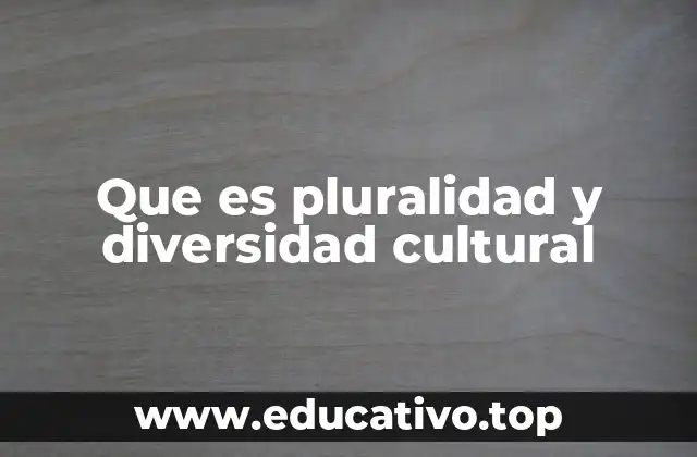 Que es pluralidad y diversidad cultural