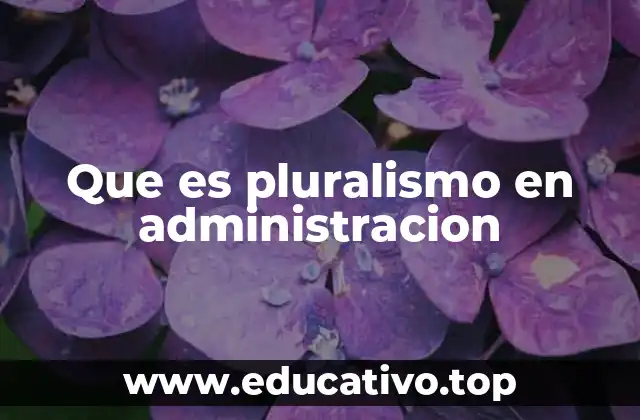Que es pluralismo en administracion
