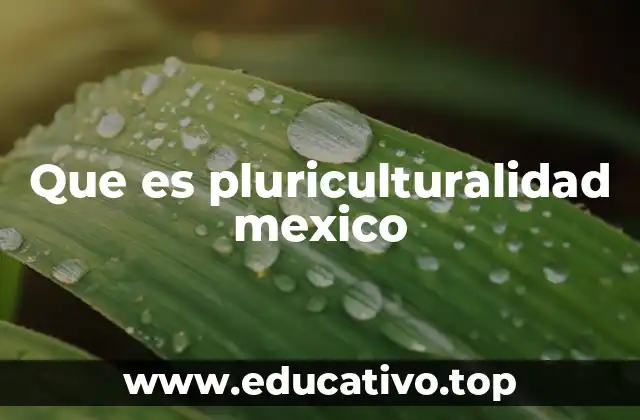 Que es pluriculturalidad mexico