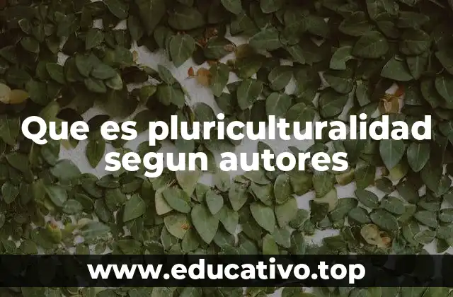 Que es pluriculturalidad segun autores