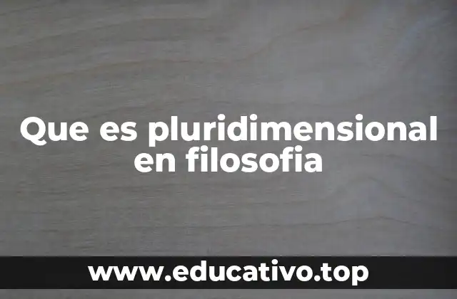 Que es pluridimensional en filosofia
