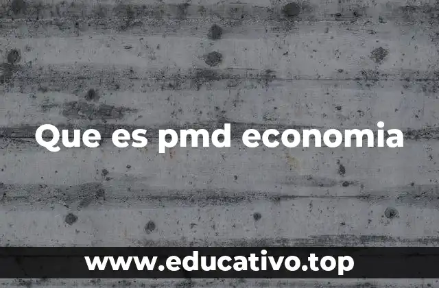 Que es pmd economia