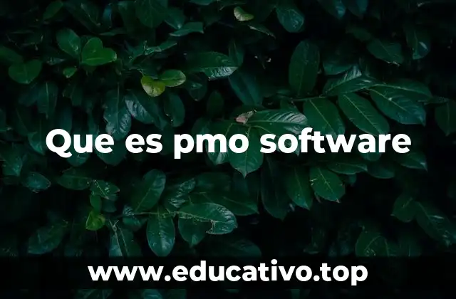Que es pmo software