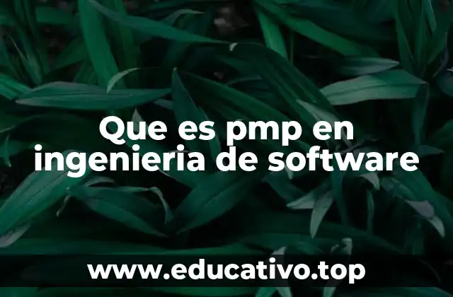 Que es pmp en ingenieria de software