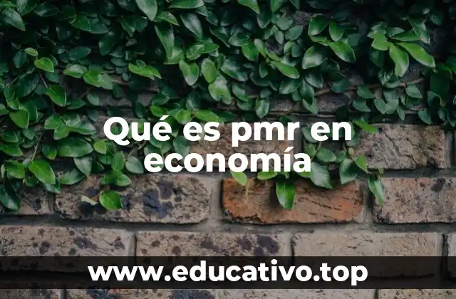 Qué es pmr en economía