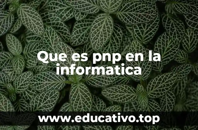 Que es pnp en la informatica