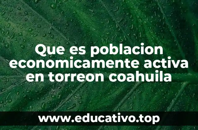 Que es poblacion economicamente activa en torreon coahuila
