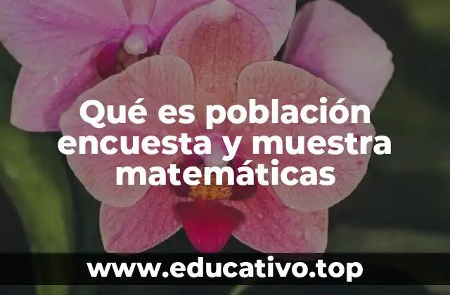 Qué es población encuesta y muestra matemáticas